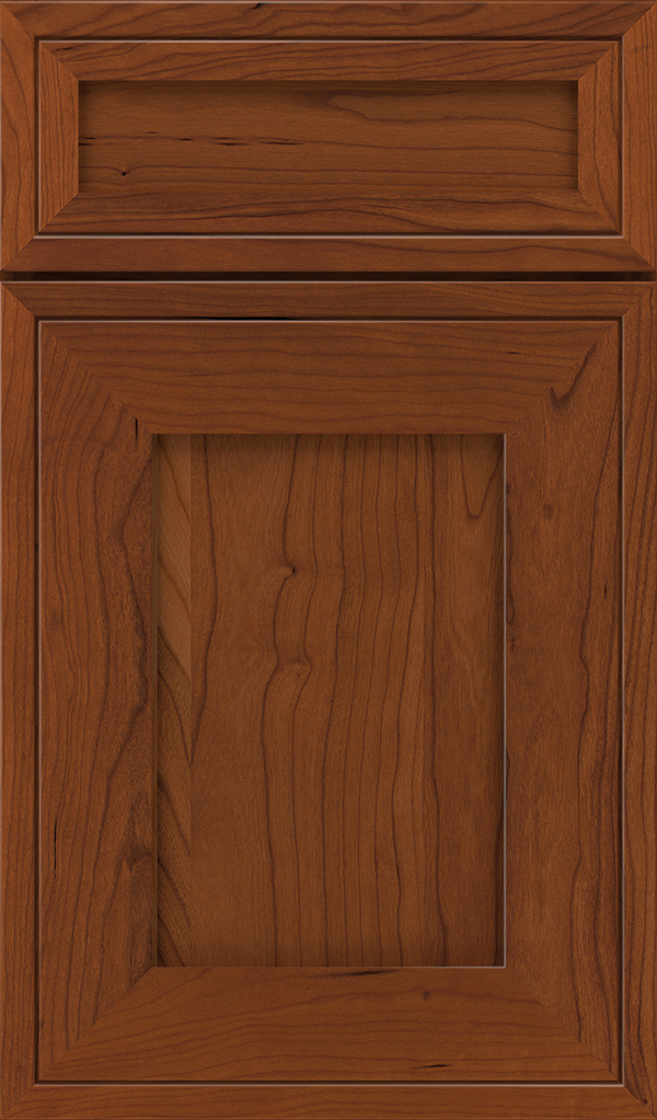 airedale_5pc_cherry_shaker_style_cabinet_door_fennec