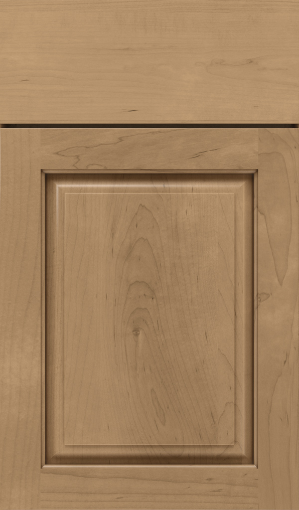 plaza_maple_raised_panel_cabinet_door_gunny