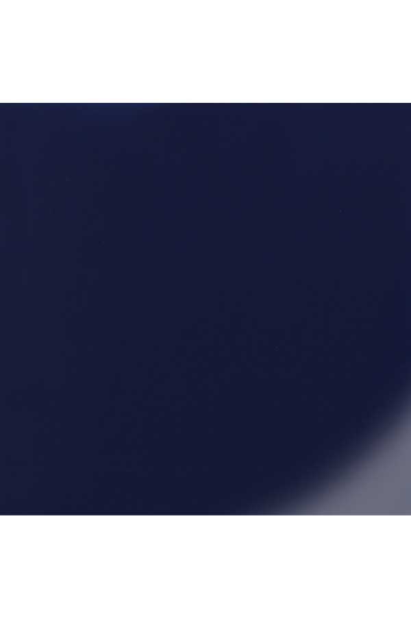 BPG_NavyGloss