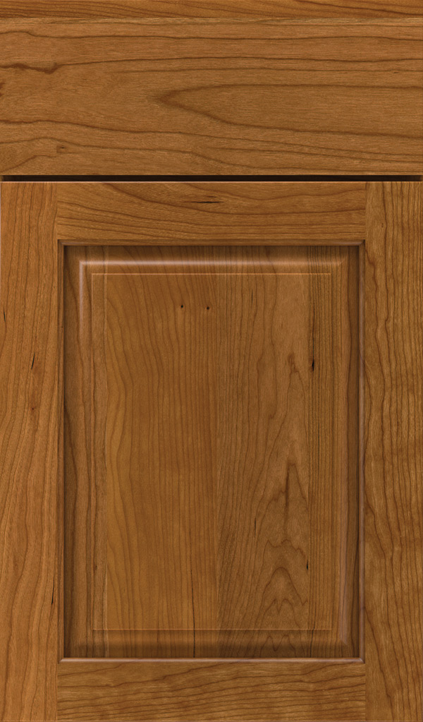 plaza_cherry_raised_panel_cabinet_door_suede