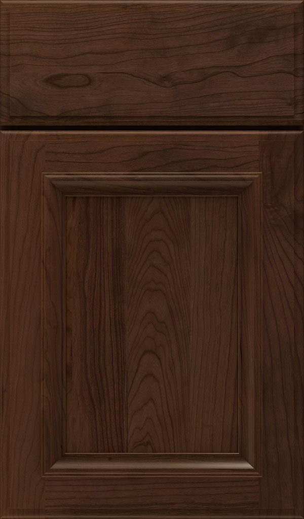 Yardley Cherry Raised Panel Cabinet Door in Bombay