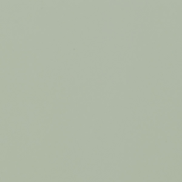 coastal plain shown in maple